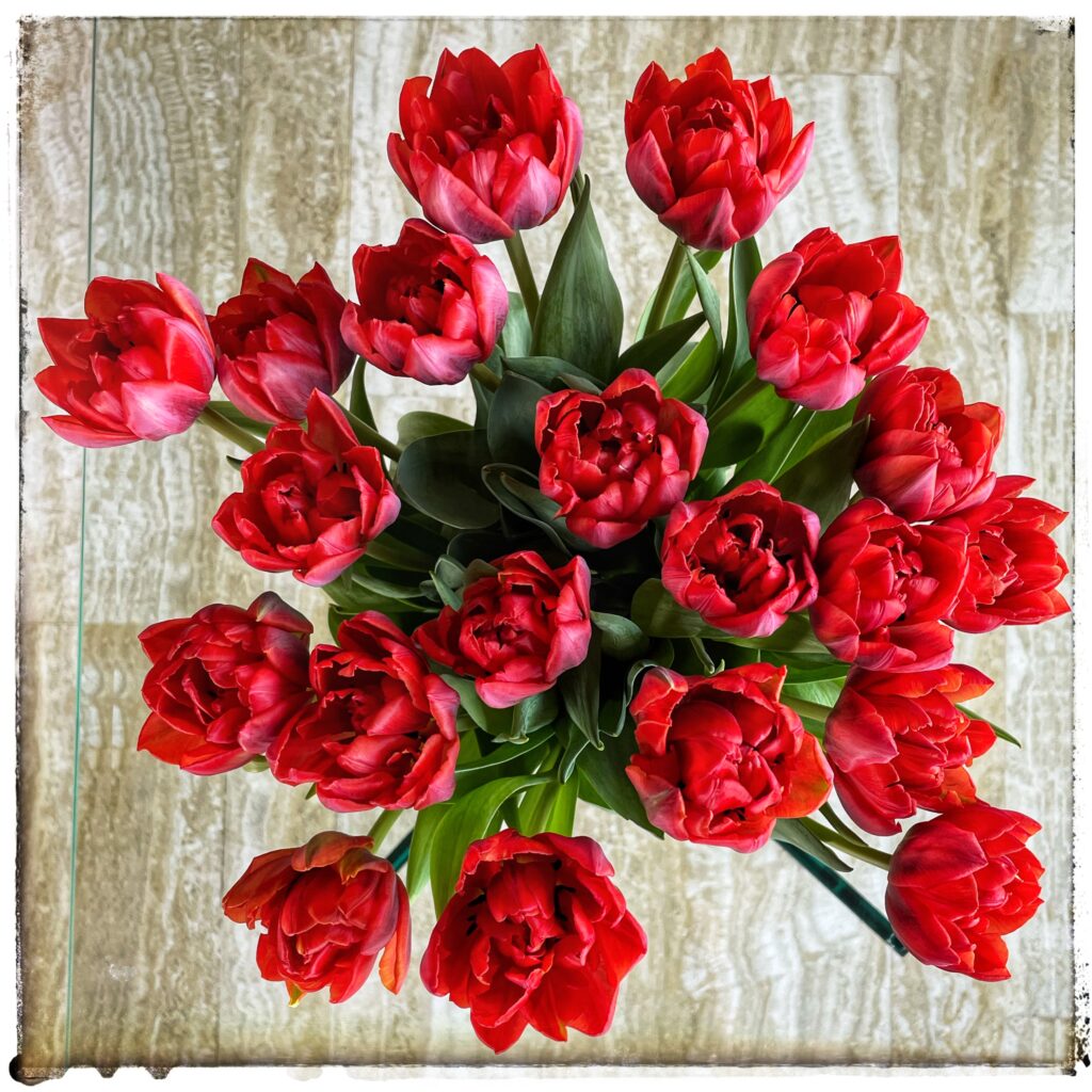 Bosje bloemen